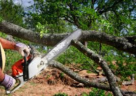 Landscape Design and Installation in Claude, TX